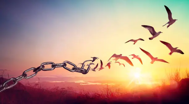 Begin Your New Life